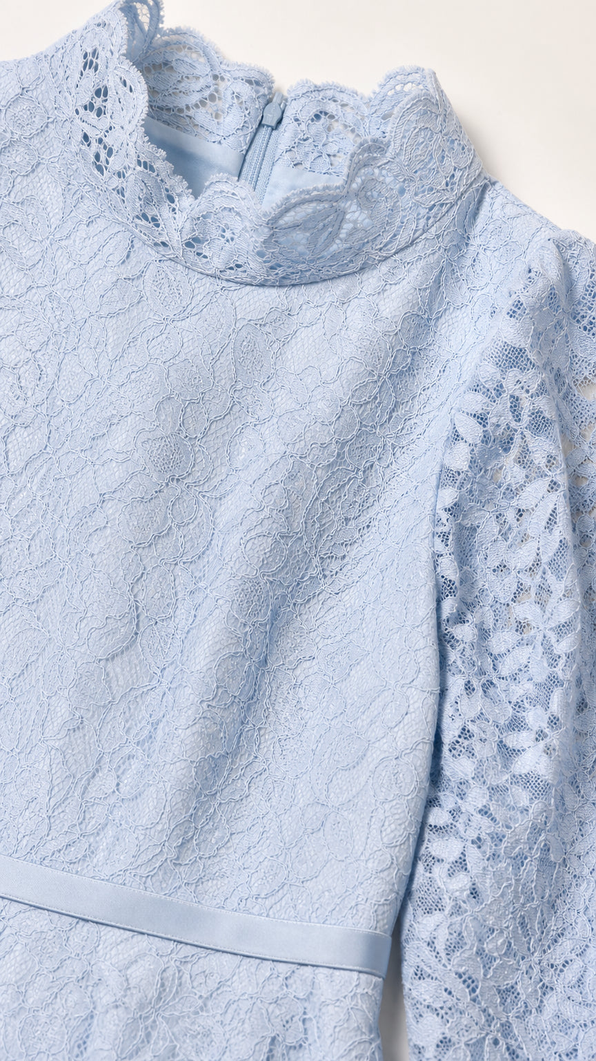 Close-up detail of high scalloped neckline and intricate lace pattern