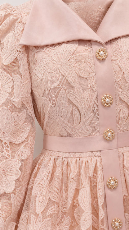 Close-up detail of lapel collar and floral lace texture on pink dress